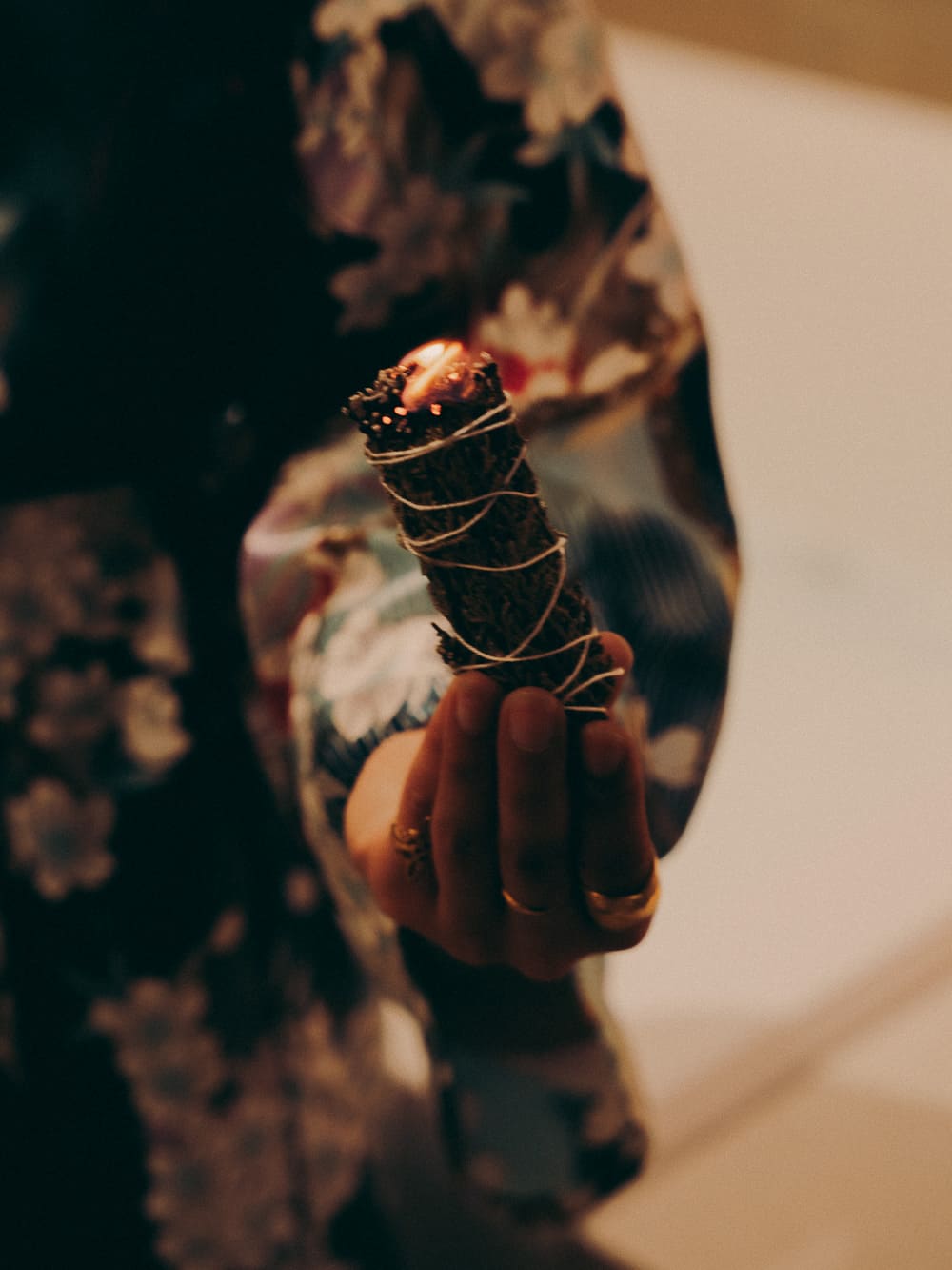 Arthur Barat — l'Arborescence photo 9