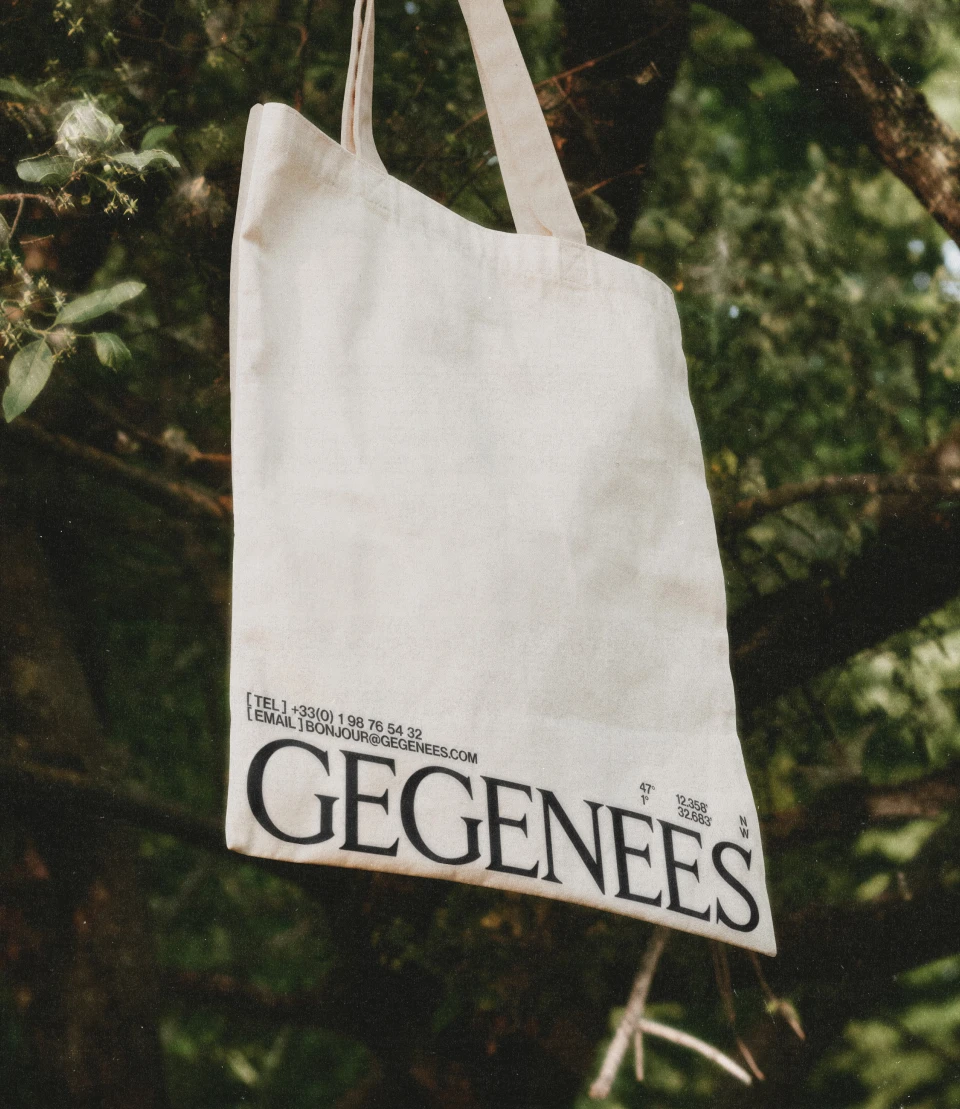 Arthur Barat — GEGENEES Concept - Work in Progress v0.9  : Homepage PC et MB